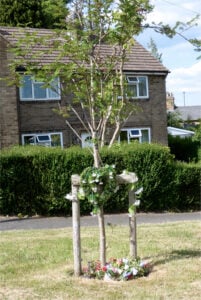 Michael's Commemorative Tree